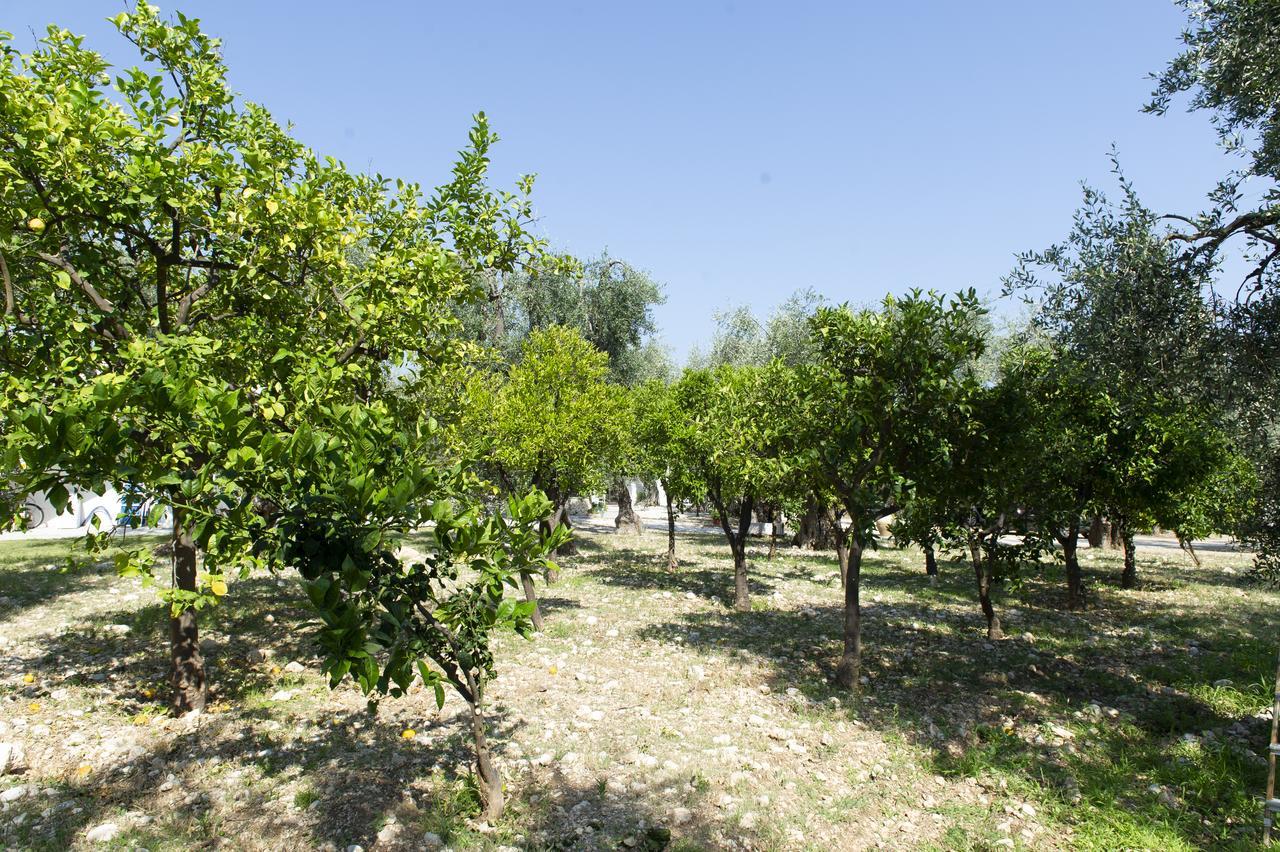 Tenuta Santa Maria Mattinata Eksteriør bilde